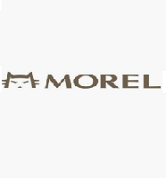 morel